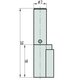 BASI® Schlüssellochsperrer VS 2 Schlüssel SS12 Typ 9000-1200