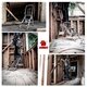 Klapptrittleiter Aluminium 2 - 5 Stufen "Little Giant" veschiedene Größen