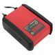 Automatisches Batterieladegerät 12 Volt 6 A Typ 1240000060