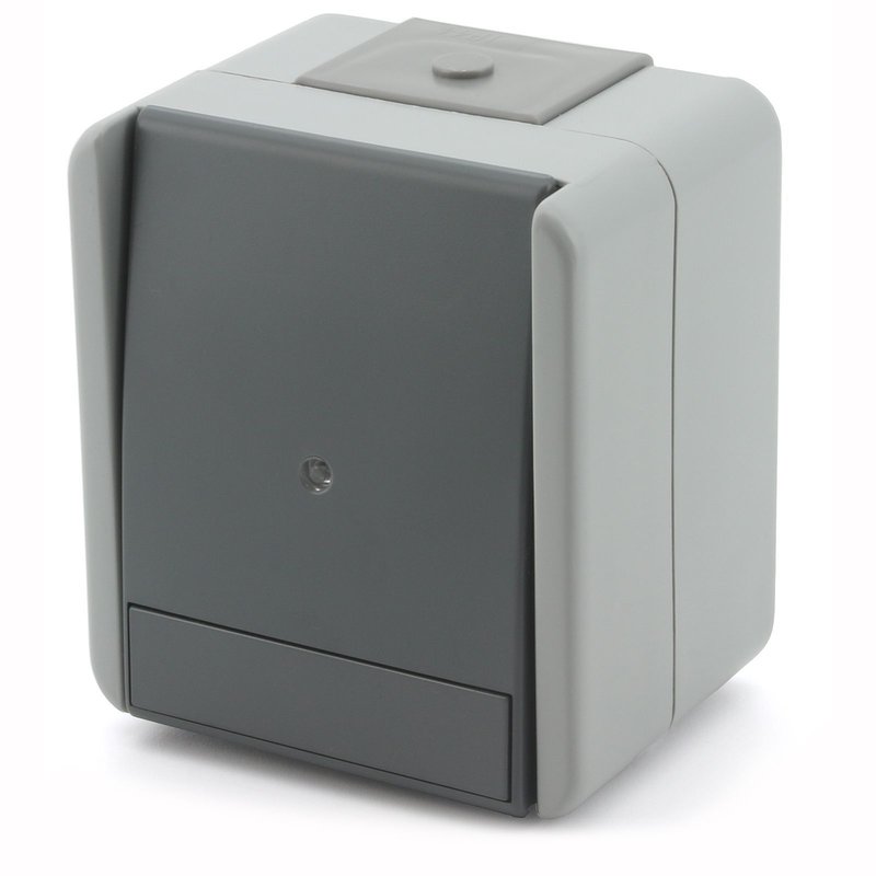 Schalter 1-Polig + Kontrollleuchte grau IP44 10AX 250V SF10GYTI