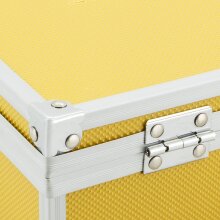 ECI Alu Koffer Gelb (LxBxH) 26x21x8 cm Box mit Schaumstoffeinlage 560026