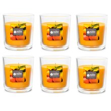 Duft-Kerzenglas 65/70 mm Set 6 Stk. Exotic Fruits