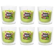 Duft-Kerzenglas 65/70 mm Set 6 Stk. Flower Garden