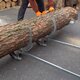 Forest Master© Holzheber Set FMLL mit 2 Hebeeinheiten