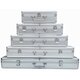 ECI Aluminium Koffer Silber (LxBxH) 70 x 10 x 10 cm