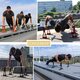 SONDERBAR© Parallettes Pullup Trainingsgriffe Farbe nach Wahl