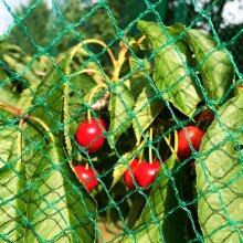 florinotex®  Vogelschutznetz Maschenweite 20 x 20 mm 6 x 8 m