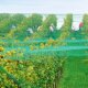 florinotex® Vogelschutznetz Maschenweite 20 x 20 mm 10 x 25 m