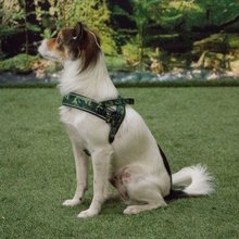 BELLOMANIA Hundegeschirr Lono Neopren Camouflage Gr. S-L Typ BH-OQ