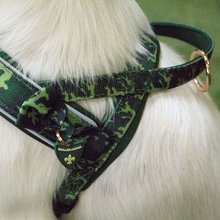 BELLOMANIA Hundegeschirr Lono Neopren Camouflage Gr. M Typ BH-OQ-M