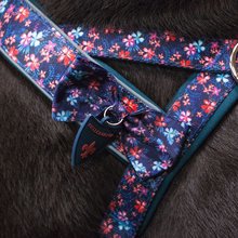 BELLOMANIA Hundegeschirr Lani Neopren Blau / Pink Gr. S Typ BH-LQ-S