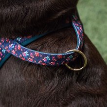 BELLOMANIA Hundegeschirr Lani Neopren Blau / Pink Gr. M Typ BH-LQ-M