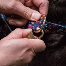 BELLOMANIA Hundegeschirr Lani Neopren Blau / Pink Gr. M Typ BH-LQ-M