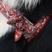 BELLOMANIA Hundegeschirr Nakoa Neopren Rot Gr. L Typ BH-NQ-L