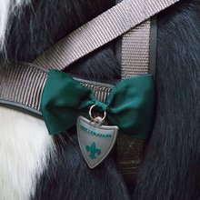 BELLOMANIA Hundegeschirr Nalu Neopren Grau Gr. S-L Typ BH-AQ