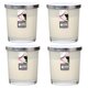 Maxi Duft-Kerzenglas Windlicht 110/95 mm mit Deckel | Set 4 Stck. | versch. Aromen
