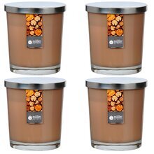 Maxi Duft-Kerzenglas 110/95 mm mit Deckel | Set 4 Stck. | Sandalwood
