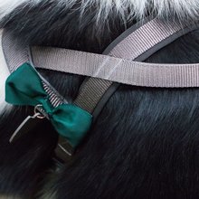 BELLOMANIA Hundegeschirr Nalu Neopren Grau Gr. L Typ BH-AQ-L