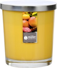 Maxi Duft-Kerzenglas Windlicht 110/95 mm mit Deckel | Set 4 Stck. | Exotic Fruits
