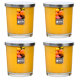 Maxi Duft-Kerzenglas 110/95 mm mit Deckel | Set 4 Stck. | Exotic Fruits