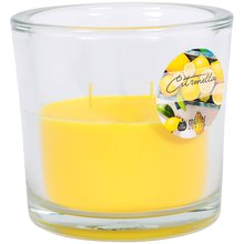 Citronella 2-Docht-Kerzen-Glas gro 120/123 mm hellgelb