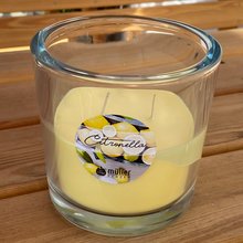 Citronella 2-Docht-Kerzen-Glas gro 120/123 mm hellgelb