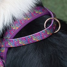 BELLOMANIA Hundegeschirr Malea Neopren Lila Gr. M Typ BH-MQ-M