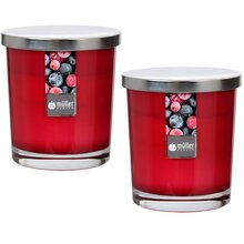 Maxi Duft-Kerzenglas 110/95 mm mit Deckel | 2er Set | Wild Berries