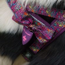 BELLOMANIA Hundegeschirr Malea Neopren Lila Gr. L Typ BH-MQ-L