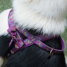 BELLOMANIA Hundegeschirr Malea Neopren Lila Gr. L Typ BH-MQ-L