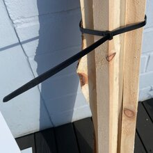 ECI Kabelbinder Extra Stark | 100 St�ck |  Breite 9 mm | L�nge 812 mm