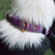 BELLOMANIA Hundehalsband Malea Neopren Lila Gr. M/L Typ BH-MC-M/L