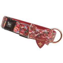 BELLOMANIA Hundehalsband Nakoa Neopren Rot Gr. XS-XL Typ BH-NC