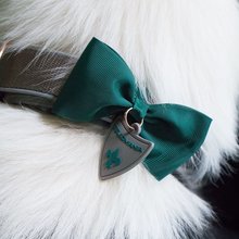 BELLOMANIA Hundehalsband Nalu Neopren Grau Gr. M/L Typ BH-AC-M/L