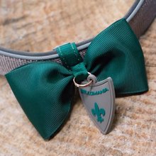 BELLOMANIA Hundehalsband Nalu Neopren Grau Gr. M/L Typ BH-AC-M/L