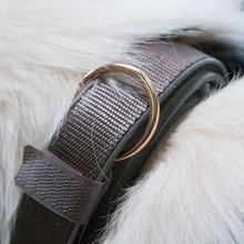 BELLOMANIA Hundehalsband Nalu Neopren Grau Gr. XL Typ BH-AC-XL
