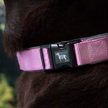 BELLOMANIA Hundehalsband Neyla Neopren Pink Gr. S/M Typ BH-YC-S/M