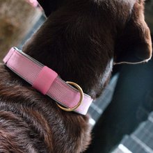 BELLOMANIA Hundehalsband Neyla Neopren Pink Gr. M/L Typ BH-YC-M/L
