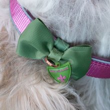 BELLOMANIA Hundehalsband Neyla Neopren Pink Gr. M/L Typ BH-YC-M/L