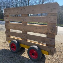 Plattenwagen 4 Rad 300 Pannensicher TW 300-4W PUR