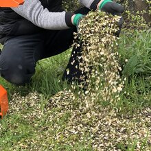 24 h Mietservice Hcksler / Mulcher Elektro oder Benzin