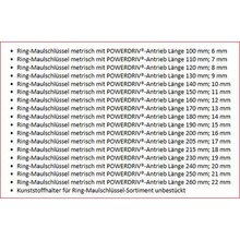 Wrth Ring-Maulschlssel-Set metrisch 17-teilig SW 6-22  Typ 071330141
