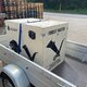 4 x Jumbo Spanngurt 5 m x 2,5 cm 800 Kg Ratsche