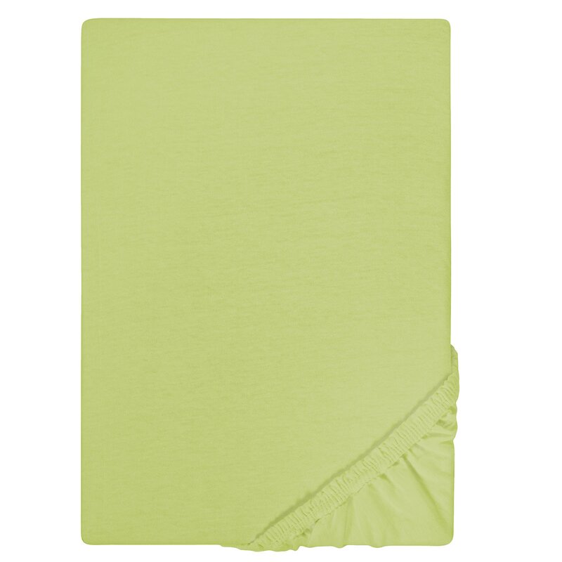 Biberna Jersey Spannbettlaken 135g/m 180 - 200 x 200 cm Pistaziengrn