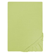 Biberna Jersey Spannbettlaken 135g/m 180 - 200 x 200 cm Pistaziengrn