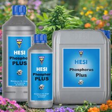 1 Liter HESI Phosphor Plus