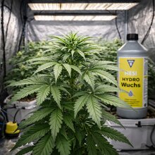 HESI Hydro Wuchs HE27 1 Liter