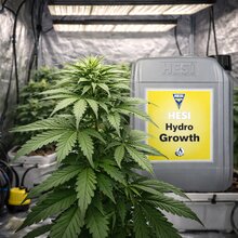 HESI Hydro Wuchs HE28 5 Liter