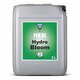 HESI Hydro Blüte Grow Dünger Flüssigdünger für Hydrosubstrat