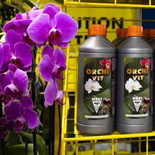 500 ml HESI OrchiVit Orchideen-D�nger Speziald�nger Fl�ssigd�nger f�r Orchideen